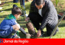 Prefeitura e DAE fazem plantio de árvores em Jundiaí