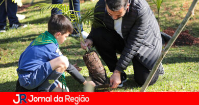 Prefeitura e DAE fazem plantio de árvores em Jundiaí