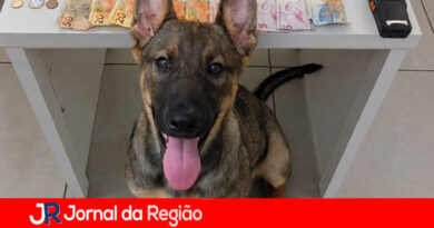 Equipe do Canil da Guarda de Jundiaí prende traficante no Cecap