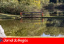 PARQUE ENGORDADOURO copiar