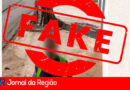 fake copiar