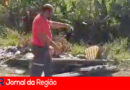 image 1017719894222590 copiar