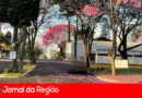 Cemitério Parque dos Ipês convoca donos de Jazigos
