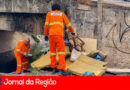 VILA ARGOS copiar