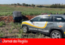 Polícia Rodoviária apreende 700 Kg de drogas