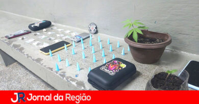 Guarda Municipal de Vinhedo apreende drogas e planta de maconha