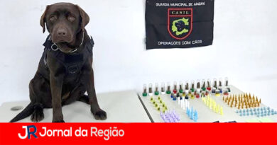 Guarda Municipal de Jundiaí apreende drogas escondidas em matagal no Morada das Vinhas