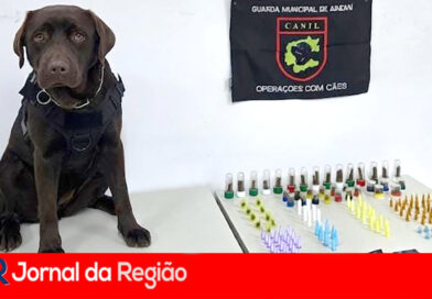 Guarda Municipal de Jundiaí apreende drogas escondidas em matagal no Morada das Vinhas