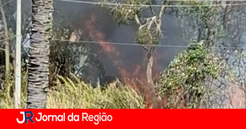 WhatsApp Image 2026 08 30 at 13.41.09 copiar
