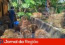 Mata Ciliar recebe 126 aves vítimas de maus-tratos, resgatadas em Louveira