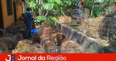 Mata Ciliar recebe 126 aves vítimas de maus-tratos, resgatadas em Louveira