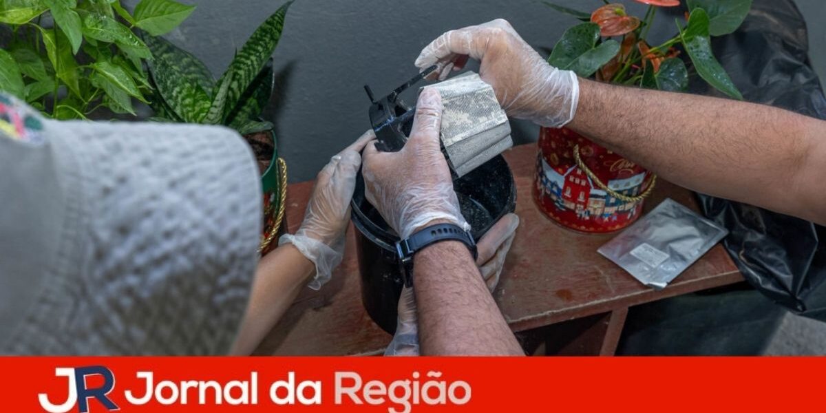 dengue