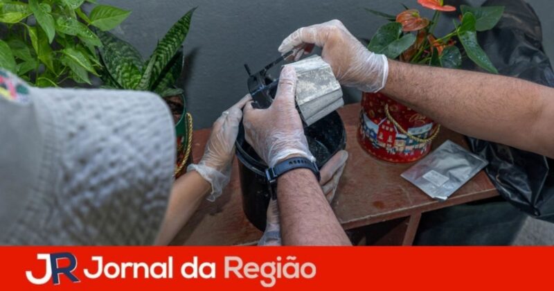 dengue