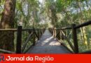 Manutenção no Parque Morada das Vinhas melhora condições dos espaços