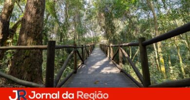Manutenção no Parque Morada das Vinhas melhora condições dos espaços