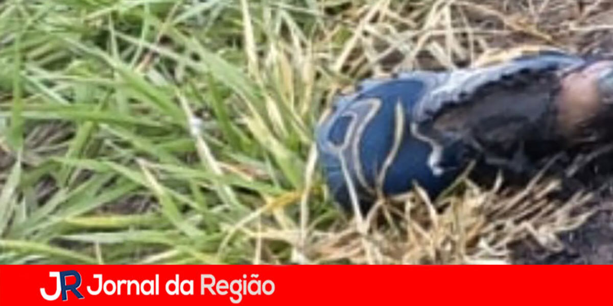 pe de morto em itupeva copiar 2