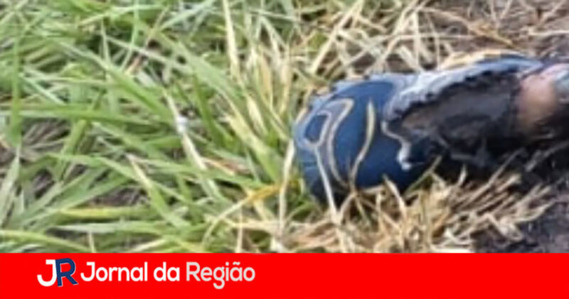 pe de morto em itupeva copiar 2