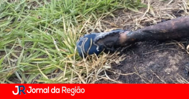 pe de morto em itupeva copiar