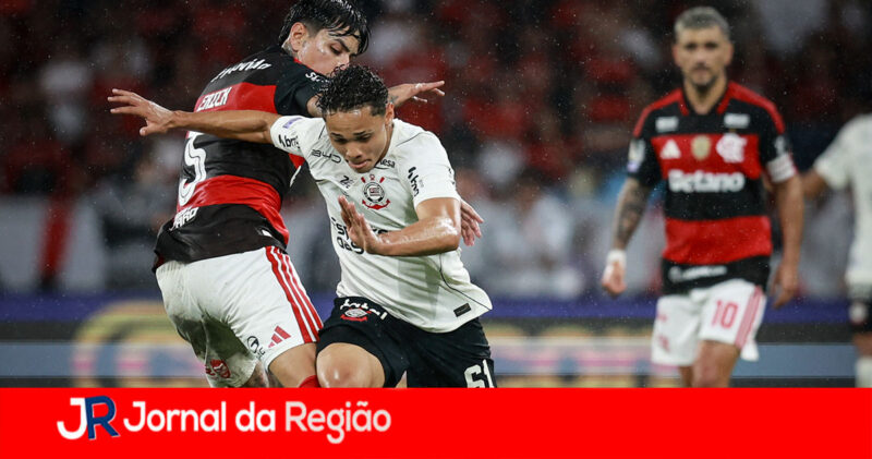 248753 copiar