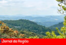 SERRA DO JPAI copiar