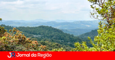 Amazon vai ajudar a criar o maior banco de dados sobre a Serra do Japi