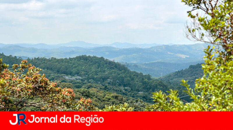 Amazon vai ajudar a criar o maior banco de dados sobre a Serra do Japi