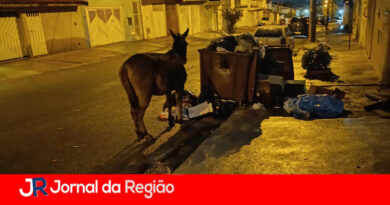 Homem assassinado a pauladas no Residencial Jundiaí é suspeito de furtar residências