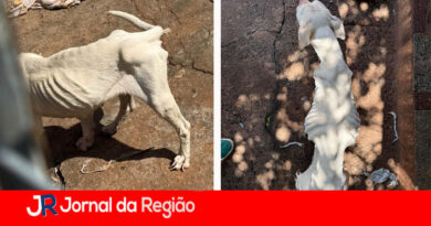 WhatsApp Image 2026 09 18 at 19.59.30 copiar