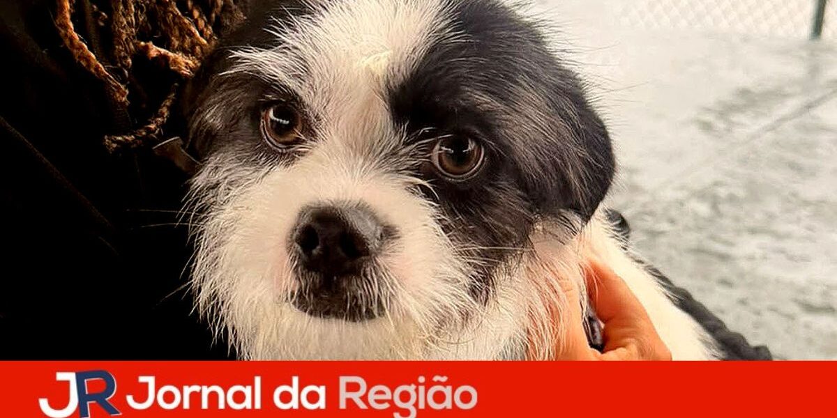 castracao varzea