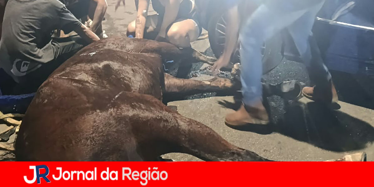 cavalo x carro copiar