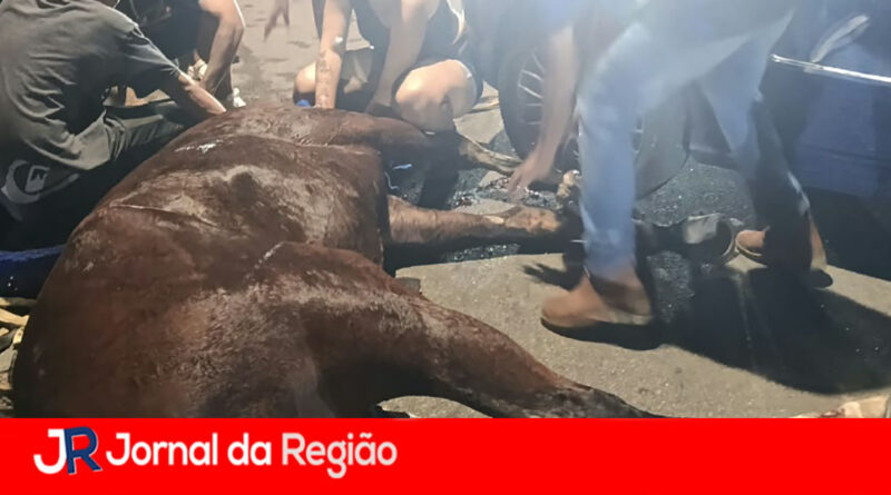 Carro bate em cavalo na Estrada do Varjão, em Jundiaí