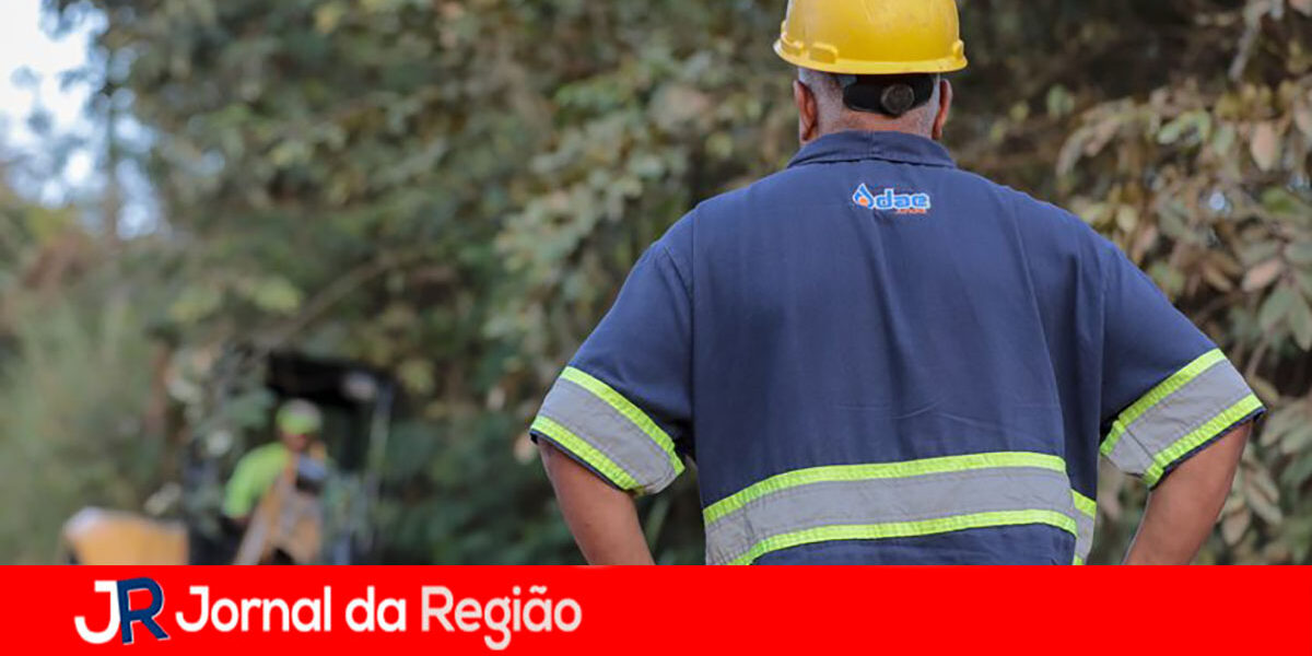 dae copiar