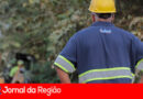 Obras da DAE chegam a R$ 59 milhões