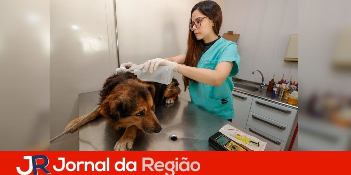 debea