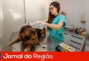 Com mutirões e ações permanentes, DEBEA amplia acesso aos serviços