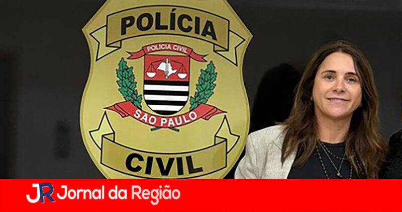 delegada ivalda copiar