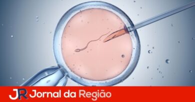 fertilizacao