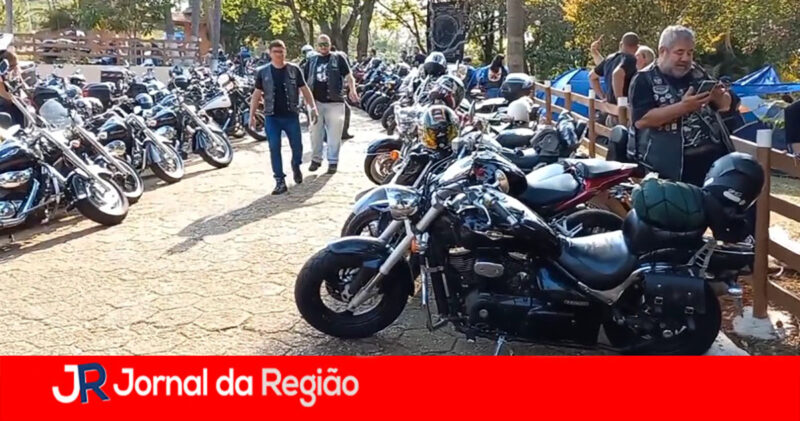 filhos da lua copiar