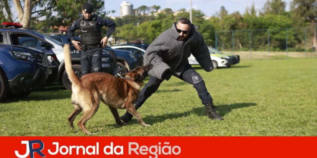 franco da rocha canil