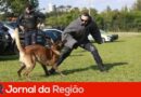 GCM forma 12 agentes no 1º Curso de Cinotecnia da corporação