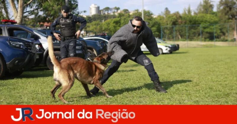 franco da rocha canil