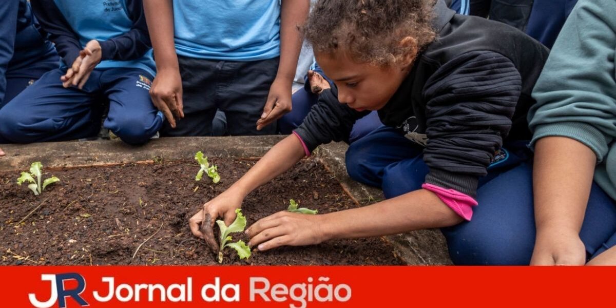 horta escola vale verde