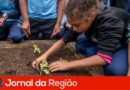 Projeto aproxima estudantes do cultivo de hortas e da educação ambiental