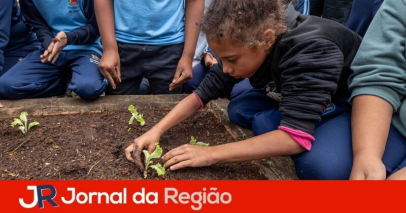 horta escola vale verde