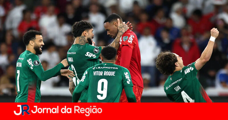palmeiras copiar