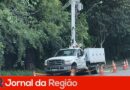 CPFL Piratininga e Itupeva substituem 53 árvores em conflito com a rede elétrica