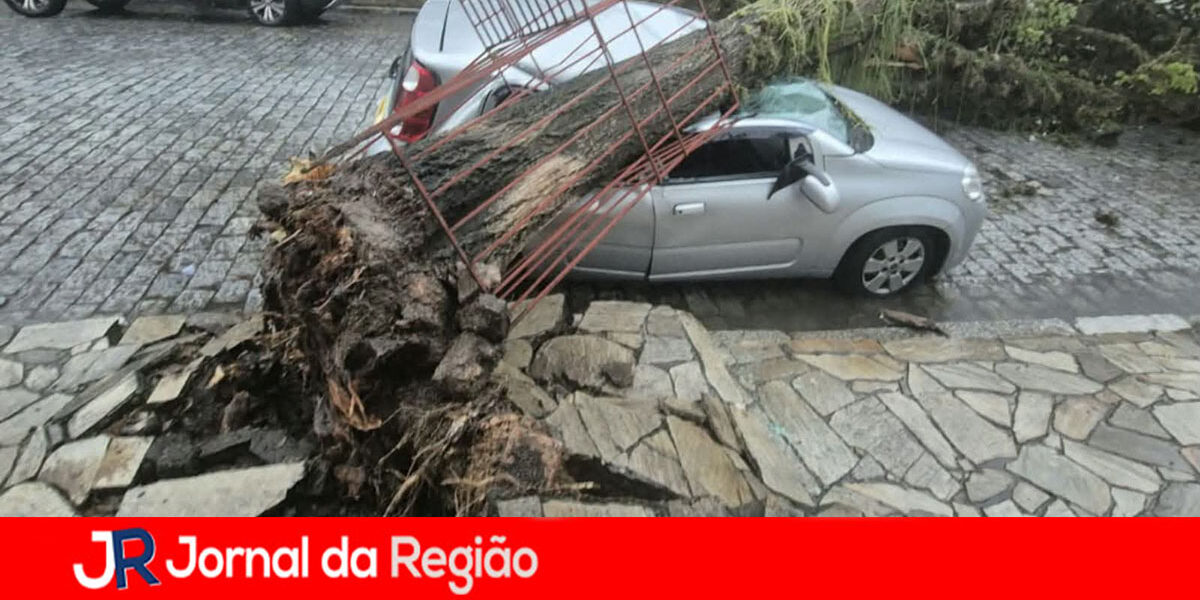 queda de arvore copiar