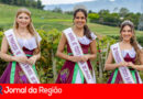 rainha da uva copiar 1
