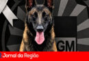 Canil da Guarda se despede do K-9 “Jacob”