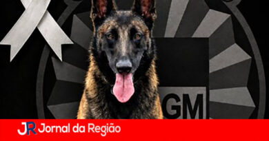 Captura de tela 2026 10 16 085336 copiar